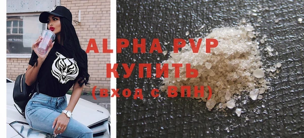 стафф Осташков