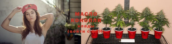 стафф Осташков