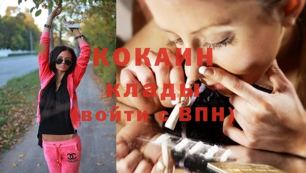 стафф Осташков